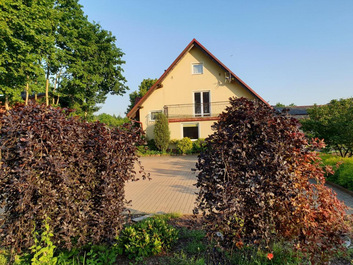 Gospodarstwo Agroturystyczne Damroka Szymbark  Exterior photo